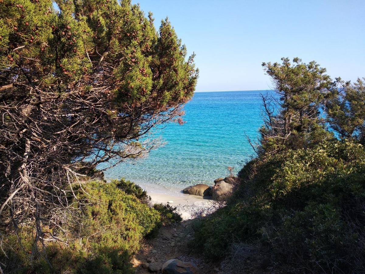 Villa Anna Capoterra Dış mekan fotoğraf